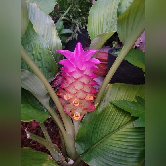 Welcome! - Picture 8 of 10